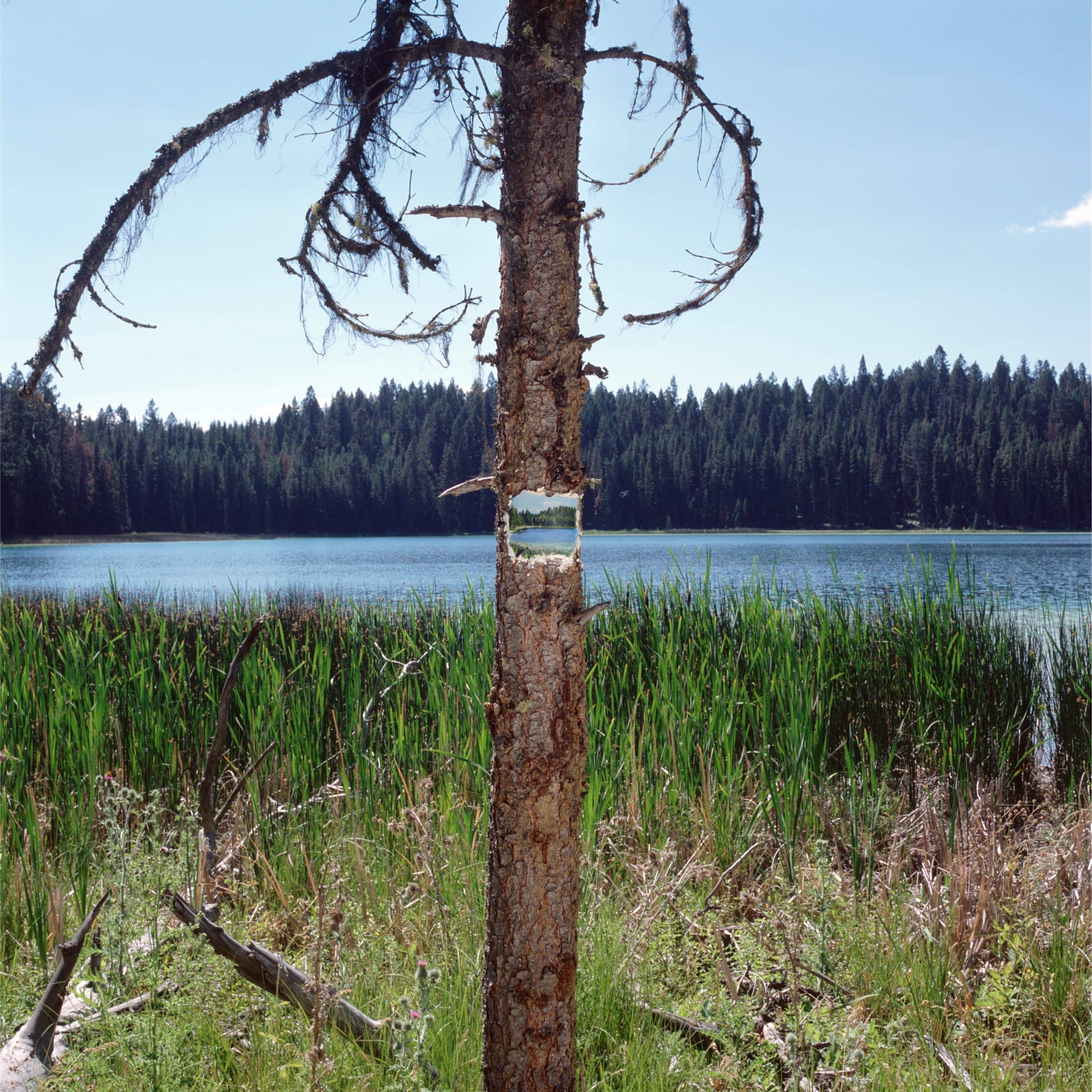 Kevin Schmidt, Little Blue Lake. courtesy Catriona Jeffries, Vancouver